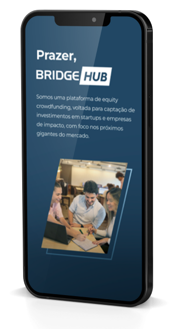 imagem site BridgeHub